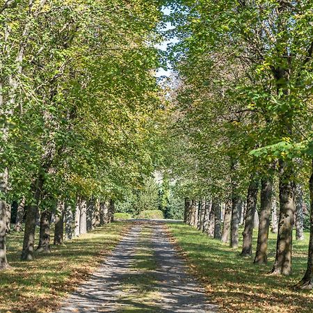 Chateau Du Chambon Cerzat Dış mekan fotoğraf